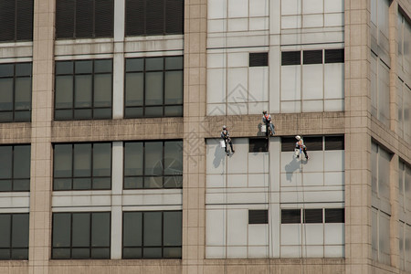 高楼办公大的清洁窗户服务人员群体选取专心型建筑修理绞刑保护图片