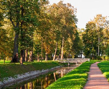 胡同河岸上有树木秋季公园小巷和河边有一座木桥在秋天公园阳光明媚的一天金地标图片