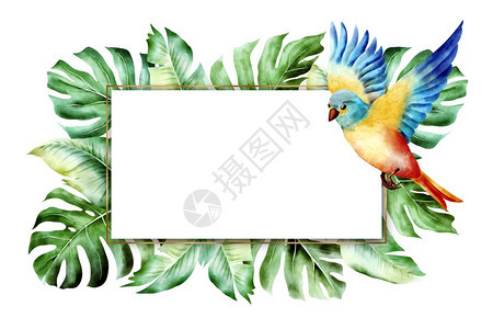 带有黄金和绿色棕榈叶的图案框架用于喜悦壁纸时装背景水彩鸟和热带植物以及复制版面的孤立框状配有黄金和绿色棕榈叶的婚纱问候水彩鸟和热图片