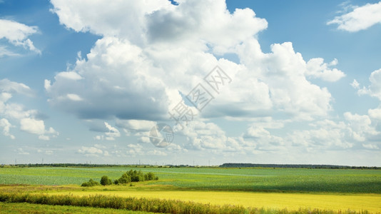 土地森林田和蓝天空的夏季风景黄色场季节高清图片素材