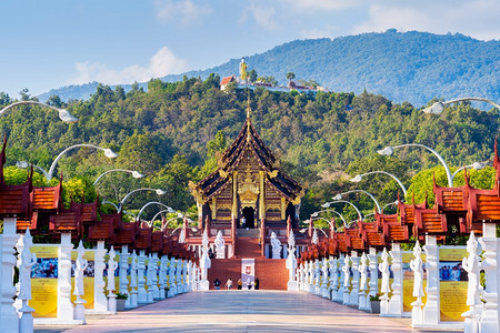天空Hokhamluang北部泰式国清迈皇家佛罗拉特恰普赫鲁克拉差贾普图片
