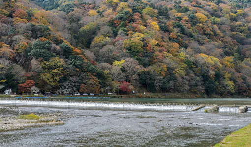 秋季森林河水图片