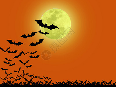 庆典万圣节的一天许多黑蝙蝠在橙色背景上万圣节夜月光下苍蝇微笑闹鬼图片