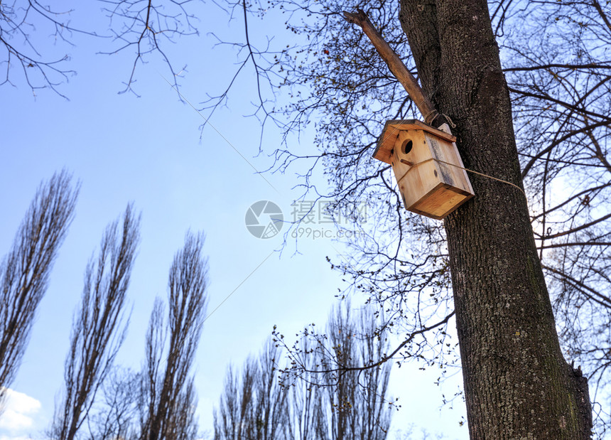 一座木头新鸟屋在春树上挂着一棵木形新鸟屋在一个公园的树上顶靠蓝天和公花山顶一个新的巢箱挂在春天公园的橡树上木制屋顶随附图片