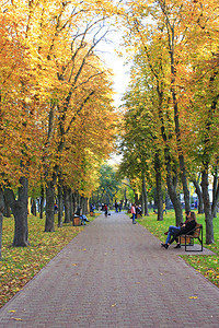 男人城市公园们在秋天的小巷里走着长椅秋天的季节树上黄叶人们在秋天的城市公园里散步人们在公园里休息秋天的季节树上黄叶忧郁小路图片
