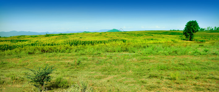 天气爬坡道绿色玻璃田植物草环境景观天空绿色宁静场景土地田野风景自然农场新鲜高清图片素材