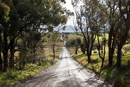 乡村的澳大利亚新南威尔士Crookwell附近PejarRoad美好的牧场图片
