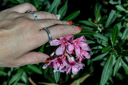 女手将银戒指戴在一位士的手指上红钉在粉色花朵上的红钉子英镑闪光自然图片