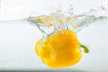 烹饪干净的甜辣椒在水中喷洒黄色的白背景甜辣椒是一种不成熟图片