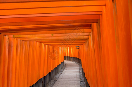 日本京都伏见稻荷大社红色的建筑学日本人图片