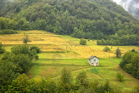 一座山上的古老木屋在一座山丘上树绿色森林图片