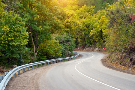 延伸到森林深处的道路图片