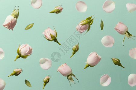 顶视图粉红色春天玫瑰高分辨率照片顶视图粉红色春天玫瑰高品质照片花的复古最佳图片