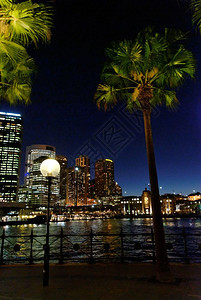 澳大利亚新南威尔士州悉尼夜间港湾河水屋图片