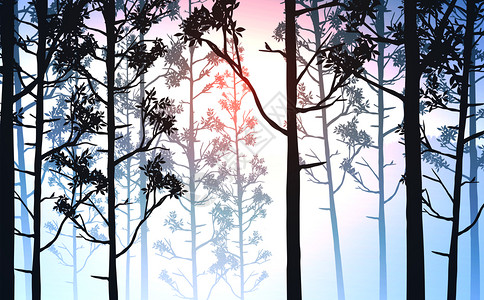木头季节爬坡道日出和落的夜晚风景壁纸说明矢量风格插图矢量风格彩色视图背景Colorfulview背景图片