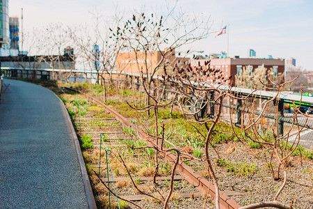 绿色通道纽约高线城市公园阳光明媚的春日纽约高线城市公园小路高的图片