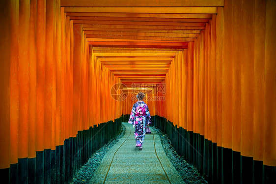 在日本京都FushimiInari神社传统日本教的亚裔妇女寺庙街道著名的图片