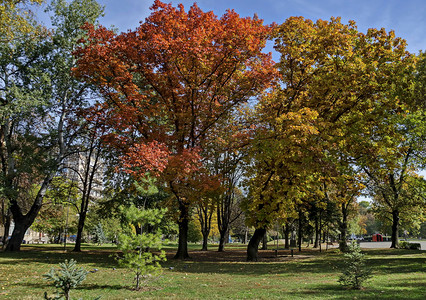 公园秋天的景色图片
