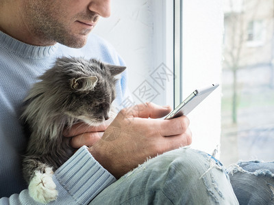 男人怀里拥抱猫咪图片