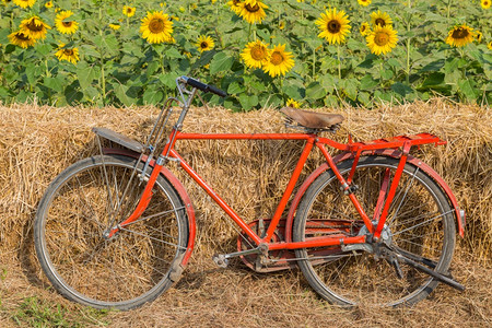 向日葵花海边的红色自行车图片