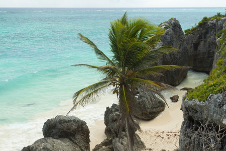 海景岛加勒比滩的景象旅游图片
