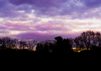 有粉红和紫色乌云的森林景观一种在冬季很少发生的多彩天空效应丰富多彩的PSC极图片