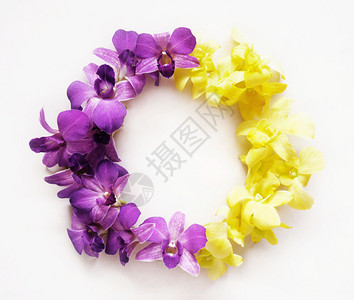 紫色圈花朵芽圆形的花环由兰做的圆形圈平板背景
