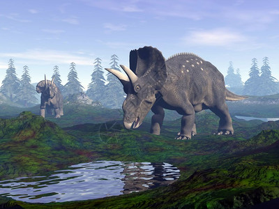 清晨时分两只台式天龙恐在山中步行到水里3D化石形象的灭绝树图片