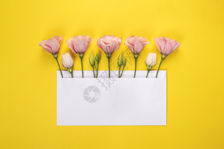 带复制空间的花卉横幅带空白卡的黄色背景上带有空白卡的粉色洋桔梗插花带复制空间的顶部视图花卉横幅女婚礼躺着图片