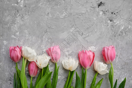 植物群春花盛开鲜装饰新朵用于浪漫问候绿色新鲜粉红和灰水泥底白色的郁金香以及白软木板复活节束图片