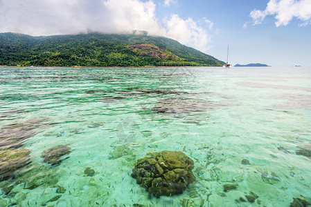 夏不为利美丽的自然景观清澈绿色海水俯瞰着丽贝岛的浅珊瑚礁在蓝天夏看到阿当岛作为背景Tarutao公园沙敦泰国清澈的绿色大海俯瞰着丽贝岛的背景