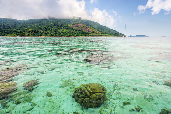 美丽的自然景观清澈绿色海水俯瞰着丽贝岛的浅珊瑚礁在蓝天夏看到阿当岛作为背景Tarutao公园沙敦泰国清澈的绿色大海俯瞰着丽贝岛的图片