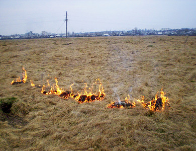 在受到灾害威胁的定居地背景中受灾害威胁的居住区被火烧成灰烬在前景下燃起一道明亮的橙色火焰迅速蔓延着火现象春天季节背景图片