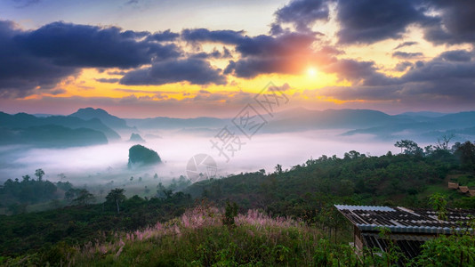 拍清晨在泰国PhayaoPhuLangKa的薄雾中升起新鲜的国民图片