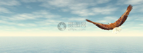 使成为数字的自然秃鹰在海洋上飞向地平线3D使秃鹰飞向地平线3D使图片