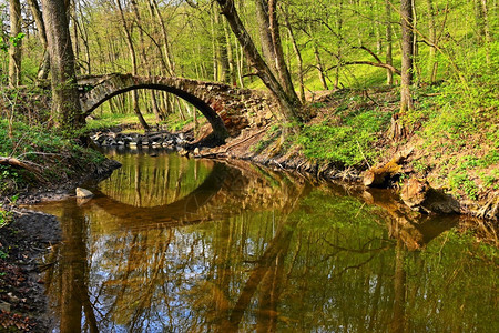林中一条溪流上美丽的老桥春林绿树本色背景阳光风优美户外图片