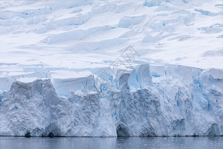 山白色的直接流入南极冷海的蓝光闪冰川舌头边缘地区寒冷的图片
