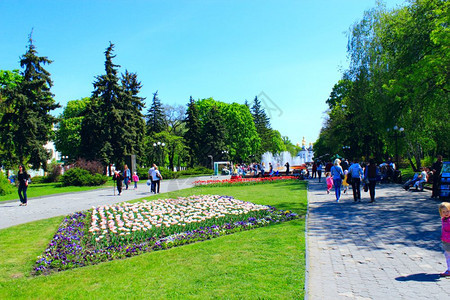 人们沿着公园走动人们可以在城市公园休息春季有郁金香的床铺孩子们过路人植物图片