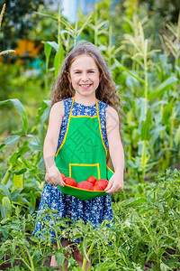 成熟夏天生长农场里的孩子和蔬菜选择焦点农场里孩子和蔬菜图片