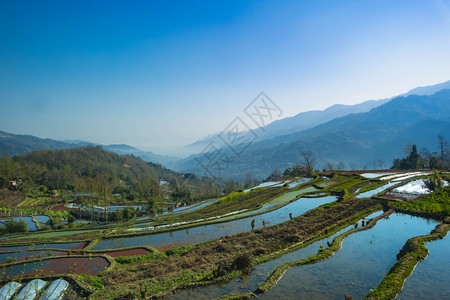 旅游水元阳梯田早晨遗产图片