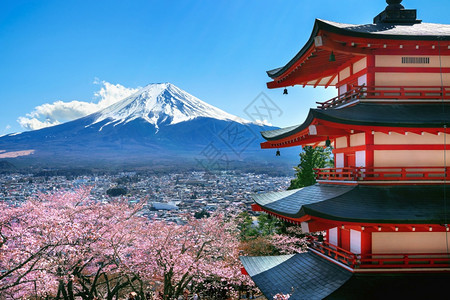 藤吉田盛开白色的春天樱花开日本的朱瑞托塔和藤山图片