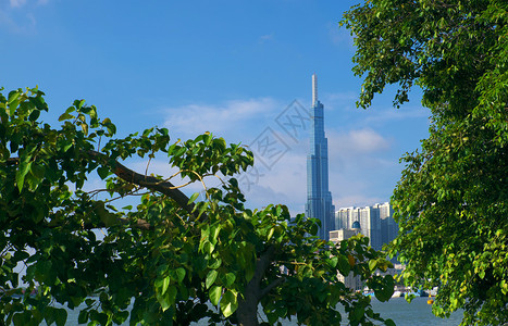 早晨摩天大楼越南语清达的81号地标景观早上在蓝天下有绿色树叶前景越南最高建筑的印象深刻胡志明市发展速度很快房地产开发速度非常快图片