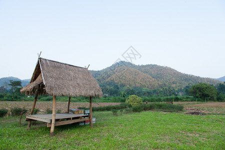 爬坡道字段草原木林小屋的棚田中深处被雾散落的山丘谷图片