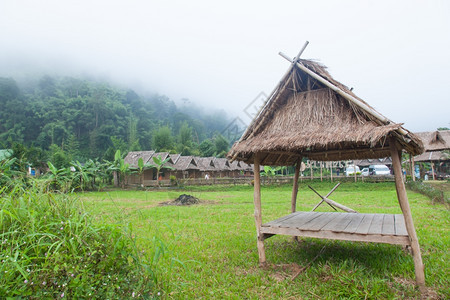 乡村的植物旅行草原木林小屋的棚田中深处被雾散落的山丘图片