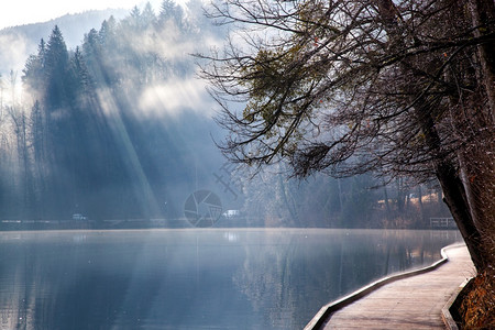 底部在湖边穿过树木的阳光照耀着太的芒水色图片