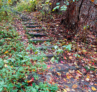 外部远足一个古老的石头楼梯通往斜坡顶端落叶覆盖着这条路秋天森林中的一块旧石头楼梯向上爬起山坡线索图片