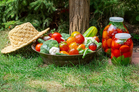 在罐子中生产装番茄加工你自己的蔬菜作物在罐中生产装番茄庄稼红色的季节图片