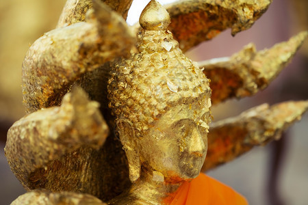 披着金叶背景的亚洲佛祖紧贴近了金子祈祷老的图片