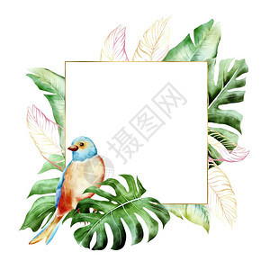 横幅配有黄金和绿色棕榈叶的框架用于喜悦壁纸时装背景化妆品水彩鸟和热带植物的婚纱问候化妆品水彩鸟和热带植物婚礼时髦的图片