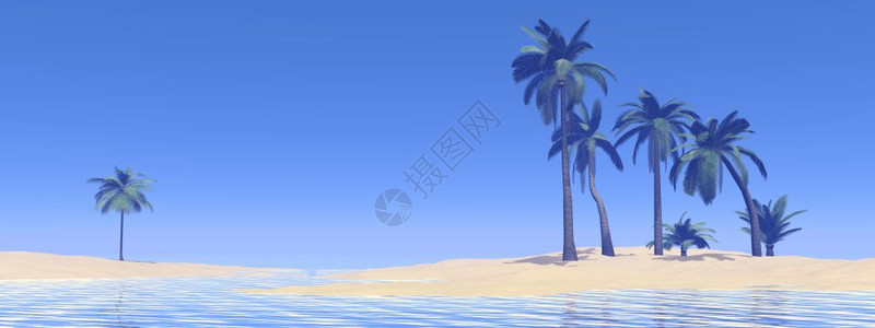 松弛游客沙岛海中有棕榈树在美丽的蓝天下自然图片